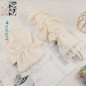 A[Jo[ UVJbg fB[X rJo[ uv [X  Ă~  d˒ Ăh~ Oh~ ʋC ⊴ Ђ