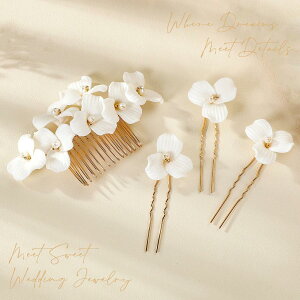 wbhhX  R[ Us Zbg t[ wAANZT[ 񎟉 \  ԉ a  p[eB[ EFfBO uC_ ItzCg