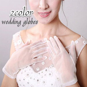 EGfBOO[u  `[  V[X[ fB[X  wlp uC_ V[g EGfBO zCg ubN V