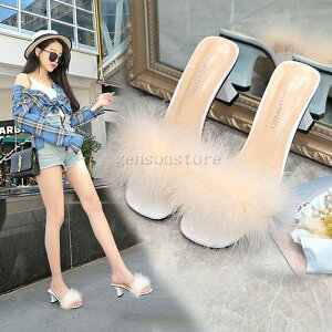 T_ fB[X q[ `L[q[ t@[T_ ӂӂ ~[T_ I[vgD t q[ XNGAgD 6cm  Xbp