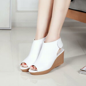 u[cT_@T}[u[c@OfBG[^[ fB[X@ EFbW\[T_@u[cT_u[T OfBG[^[T_ I[vgD