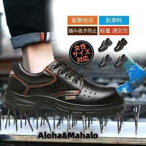 SC ƌC  ܐی Y fB[X u[c nCJbg TCYΉ h ZteB[V [Y ݔh~