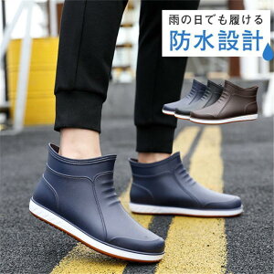 Cu[c CV[Y Y Xj[J[ h Sh V[g JC y  ~J΍ rWlX AEghA ʋ Jp