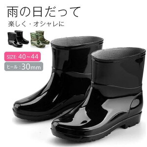 Cu[c Y CV[Y C JC h JWA ɂ Vv V[g rWlX 傫TCY