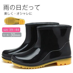 Cu[c Y CV[Y C JC h JWA ɂ Vv  V[g rWlX 傫TCY