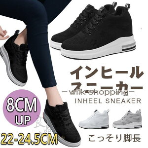 Xj[J[ fB[X   Cq[Xj[J[ V[NbgV[Y 8cm ₷ r q[Abv ɂ y