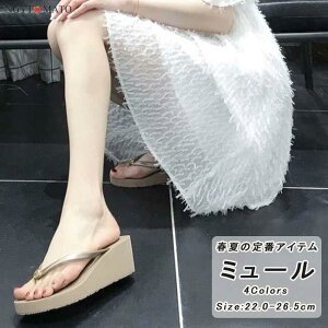 r[`T_  ~[ EFbW\[ gOT_ fB[X Xgbv T| y r ~ 6cm/4cm ₷   ؍ 