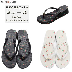 r[`T_  ~[ EFbW\[ gOT_ fB[X Xgbv `F[ T| y r ~ ₷   ؍