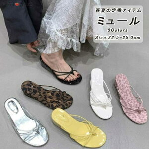 r[`T_  ~[T_ EFbW\[ ~[ Xgbv T_ ƂȂ r ₷ ₷  JWA  l