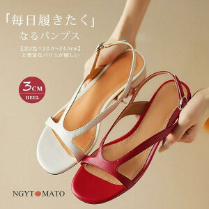 T_ fB[X ׃Xgbv I[vgD XgbvT_ obNXgbv ߃q[ JWA ₷ ₷  r  