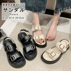 T_ fB[X  vbgtH[ XgbvT_ T_ X|T obNXgbv  r JWA ₷  PU