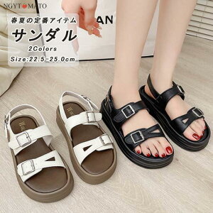 T_  vbgtH[ Xgbv X|[cT_ T_ xgT_ ʊw ʋ  r l JWA ₷   