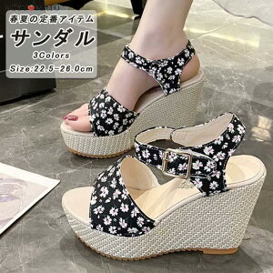 EFbWT_ fB[X  EFbW\[ T_ I[vgD ԕ ₷ ₷  r  JWA ʋ ʊw y