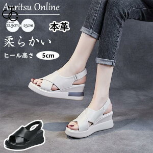 T_  r[` v {v fB[X ʋC bNX RtH[g  ₷ r ~ JWAV[Y AEghA ̓ v[g