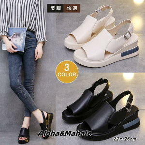 T_ fB[X ₷ ăT_ XgbvT_ C EFbW\[ [}u[ Vv rT_ IVV