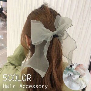 wAS fB[X wAANZT[ { VA[ rbO Vv n 傫 Ԃ 킢  ꂢ lq  tF~j