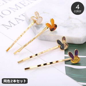 wAs As 2{Zbg fB[X wAANZT[  ETM rbg  킢 }[u   wAAW O