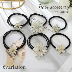 wAS S wAANZT[ fB[X    ܂Ƃߔ wAAW t[  fCW[  킢 