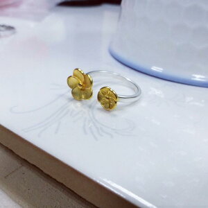 w O ANZT[ fB[X p    \ 킢  Vv Mtg LO a v[g 蕨 t