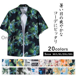 AnVc Vc Y ԕ JWAVc gbvX J An I[vJ[ ][g C r[` t  ̓ v[g  