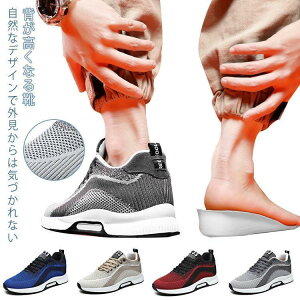 Cq[Xj[J[ Y Xj[J[ V[NbgV[Y 6cmgAbv  wȂC EH[LOV[Y ^C X|[c JW