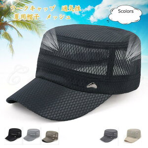 [NLbv Y ėpXq ΍L 悯 bV ʋC  TCY  Vv AEghA 21NĐV ꂢ 