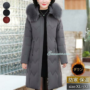 _ER[g fB[X O AE^[ AC t[ht  t@[t 傫TCY  g h h ʋ ~ LC