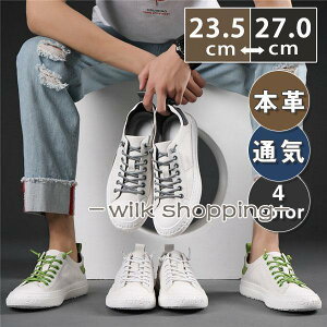 Xj[J[ Y EH[LO JWAV[Y {v C ʊw ʋ p t H ~ AE^[ zCg ʋC K X|[c CjO