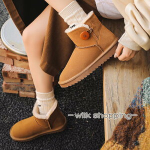 Xm[u[c fB[X Ȃ h [gu[c ZC Xm[ V[Y ~C g  ʊw ʋ s o {