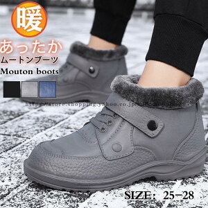 [gu[c Y C ~p 傫TCY Xm[u[c ӂӂ N  h [Jbg g {A jp amC@R hL