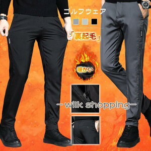 StEFA Y {gX pc N g h Stpc `mp Y Stpc `mp ̓ n JWA