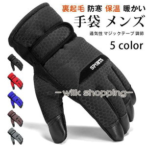  Y O[u N h ۉ g   TCNO amp X|[c Xm[ ނ