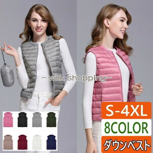 _ExXg fB[X Cg   ꂢ  30 40 50 L 2L 3L 4L Ci[_E Cg_E y n V[g h