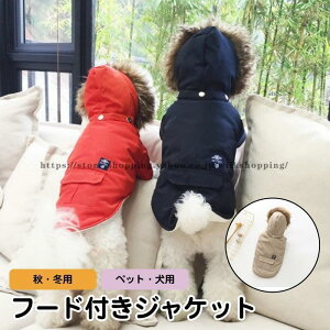  g WPbg AE^[   t@[tWPbg ybgp WPbg AE^[ H~p ~ U 킢 IV pi hbOEFA