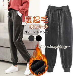 XEFbgpc fB[X N W[W WK[pc xxbg  S  ڒ n 킢  Vv