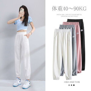 XEFbgpc fB[X Chpc n  TGpc Vv X|[cEFA Y{  傫TCY