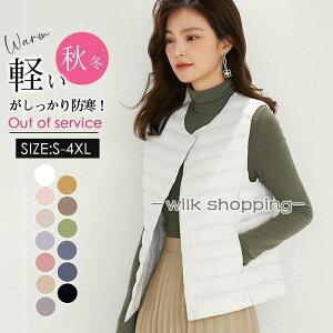 _ExXg Ci[xXg fB[X  Ci[xXg_E _EWPbg fB[X y Ȃ W H y