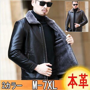 {v vW U[WPbg Y ~ N rWlX WPbg 傫TCY R[f oCN C_[XWPbg g 