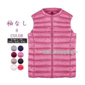 _ExXg VbgxXg fB[X EhlbN Ci[ _E RpNg [ܕt y 