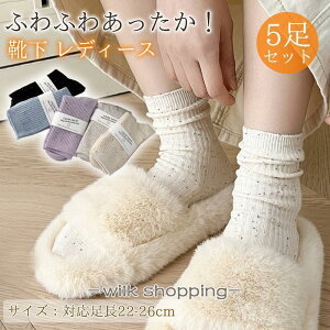 C fB[X N[\bNX 5Zbg   ۉ h΍  \bNX g C   ₦h~