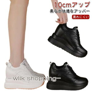  Xj[J[ 10cm 10Z` gAbv fB[X Xj[J[ C V[NbgV[Y V[NbgC V[NbgXj[J[