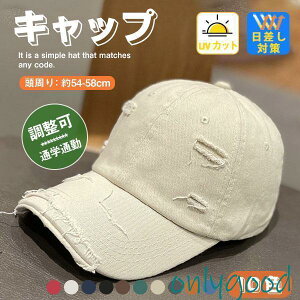 Lbv fB[X [ uv Xq  Y _[W ΍ St n   t H Ȃ ĂXq [NLbv