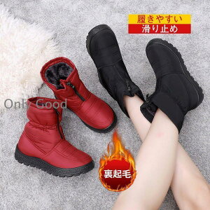 [gu[c fB[X ؂ [q[ {A h ۉ IV  o ZC g