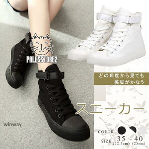 Xj[J[ fB[X LoX nCJbg  ҂ݏグ [XAbv ₷ V[Y ʊw ʋ r JWA  傫TCY