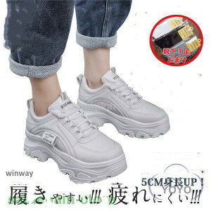 Xj[J[ fB[X   40 30  5cmgUP Ȃ V[Y {A ؍ yC3i~l!!j܂IIIz