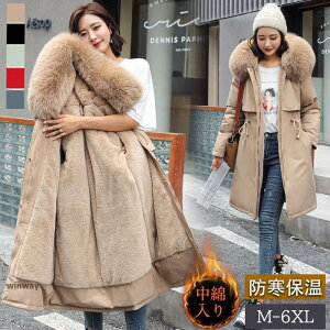 ȃR[g fB[X _ER[g ȃWPbgtFCNє AE^[ O t[ht n JWA    h h