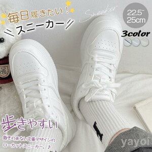 Xj[J[ HV fB[X V[Y tH  Xj[J[ jOV[Y EH[LOV[Y bV ؂ ₷ Ȃ RtH