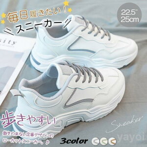 Xj[J[ HV fB[X V[Y tH  Xj[J[ jOV[Y EH[LOV[Y ؂ ₷ Ȃ r JWA 