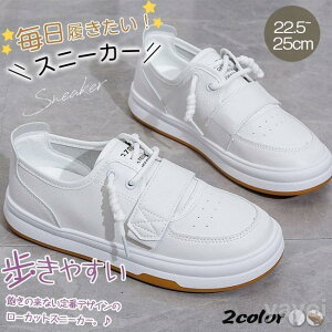 Xj[J[ HV fB[X V[Y tH  Xj[J[ jOV[Y EH[LOV[Y ؂ ₷ Ȃ r JWA 