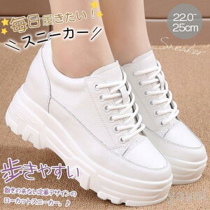 Xj[J[ HV fB[X V[Y tH 7CMq[  Xj[J[ jOV[Y EH[LOV[Y ₷ Ȃ RtH[g r